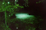 Water at night